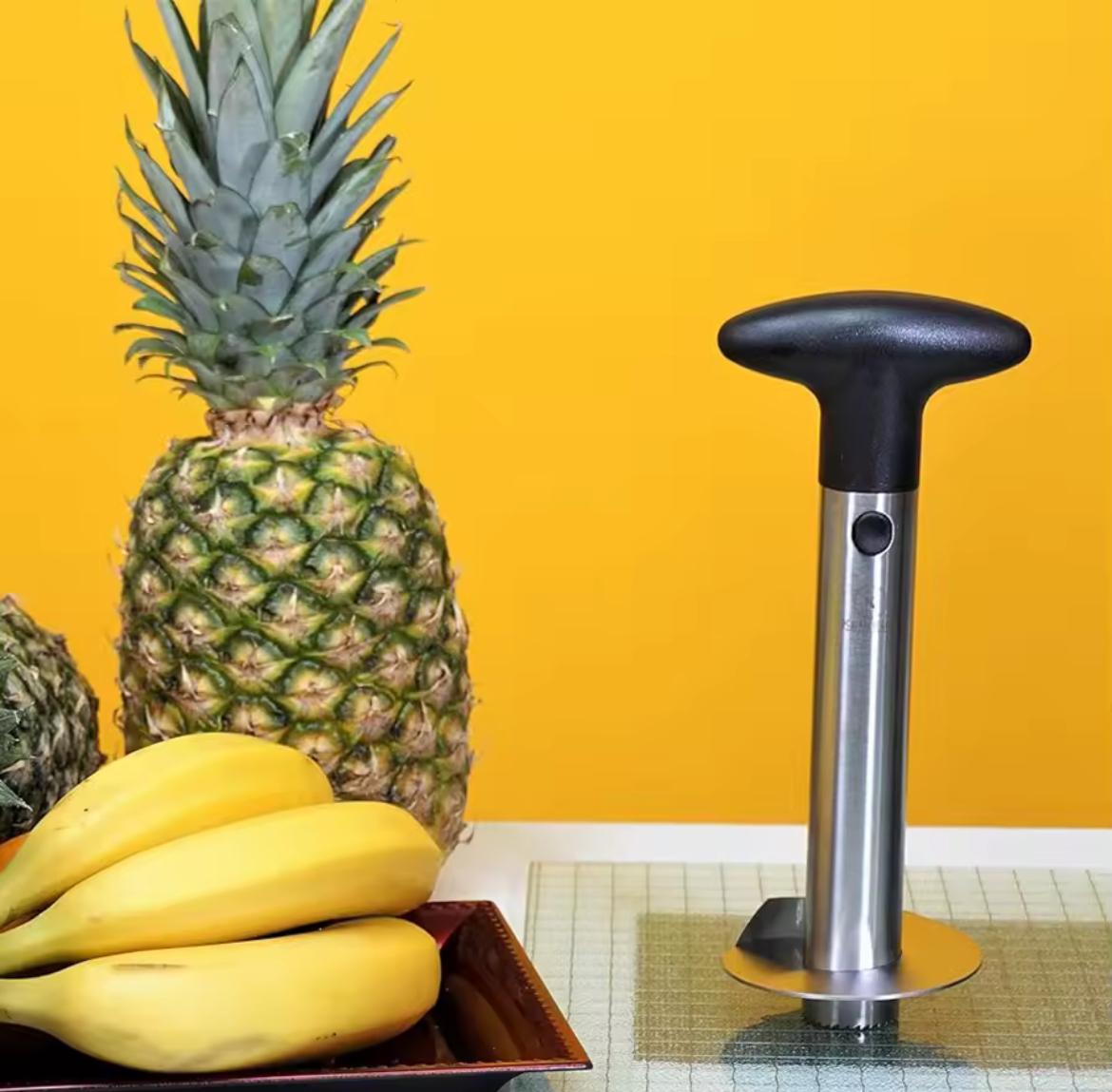 SqueezeJet™ Pineapple Core-Express